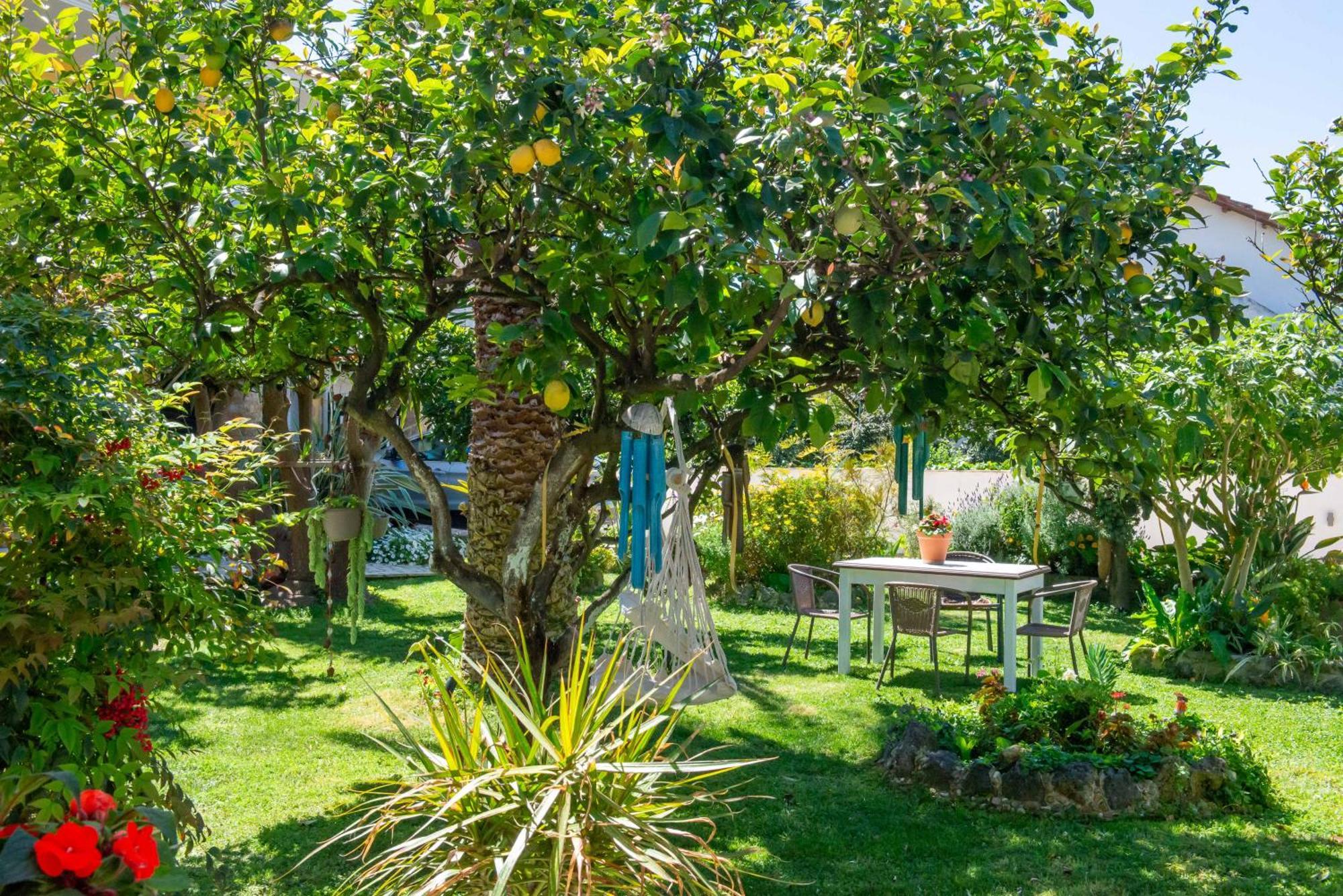 Alex Studios & Apartments Arillas  Exterior photo