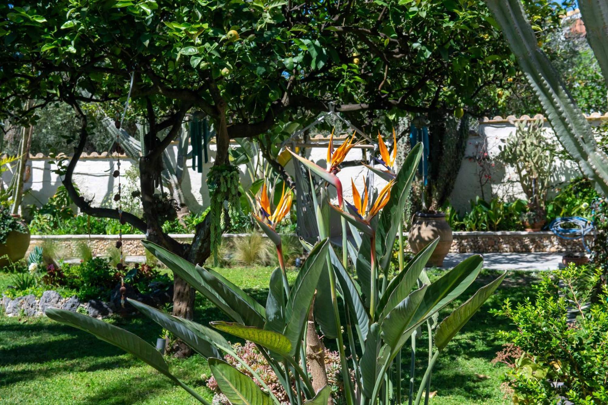 Alex Studios & Apartments Arillas  Exterior photo